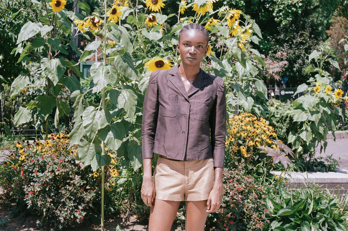 GUCCI | LOW WAIST SHORTS